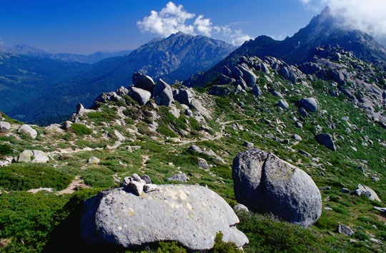 корсика
