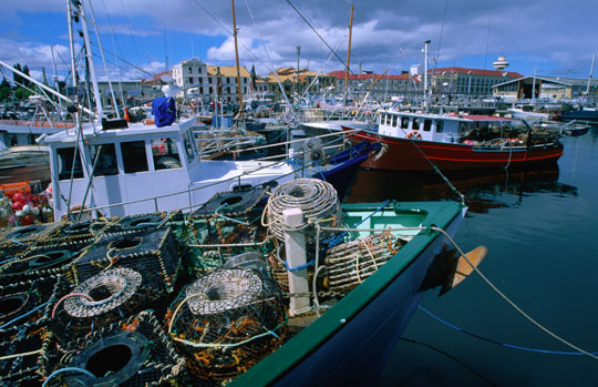 hobart
